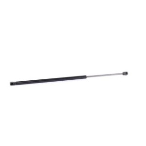 Tailgate Strut - RIDEX 219G0469