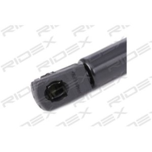 Tailgate Strut - RIDEX 219G0469