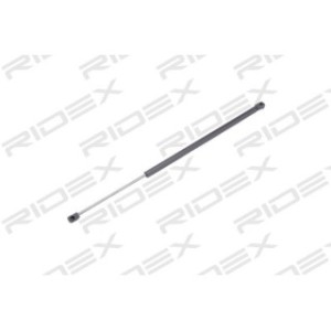 Tailgate Strut - RIDEX 219G0469