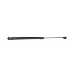 Tailgate Strut - RIDEX 219G0485