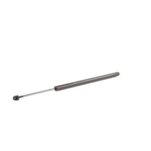 Tailgate Strut - RIDEX 219G0490