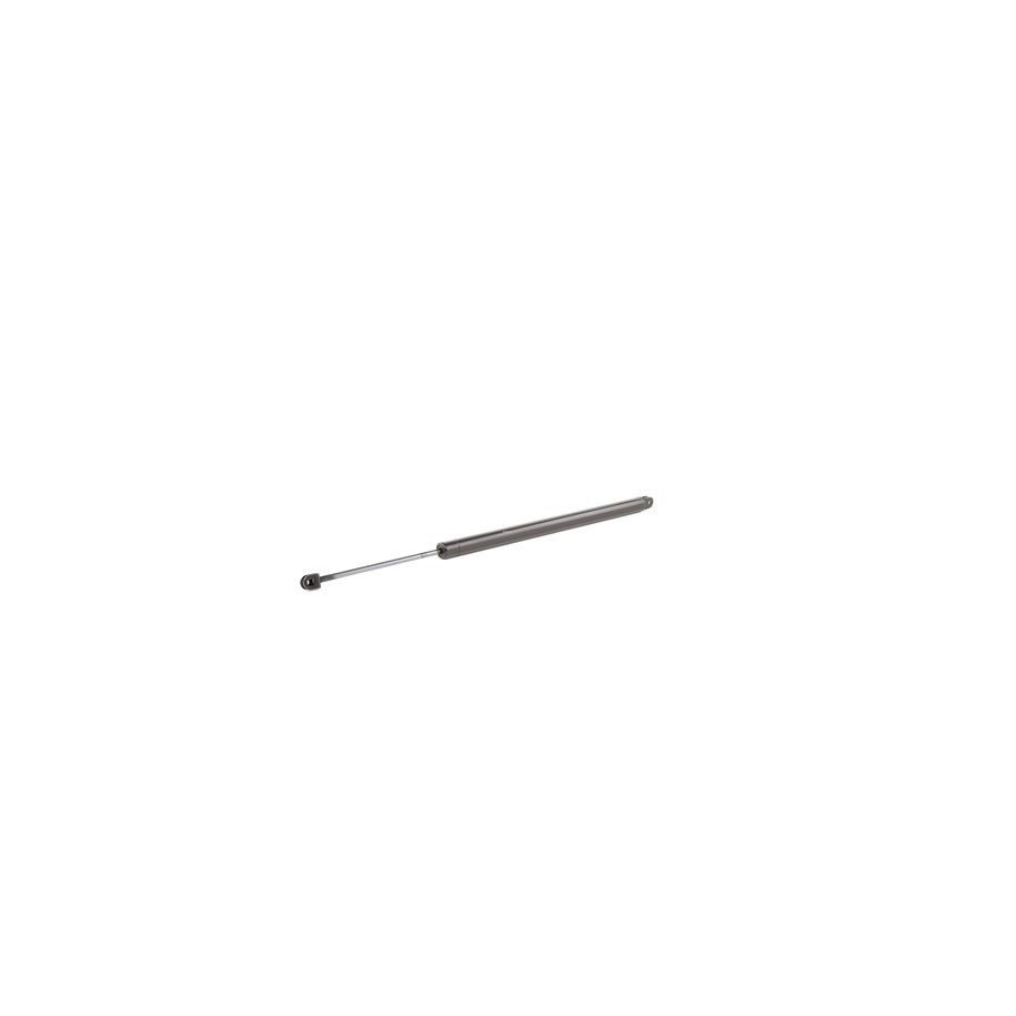 Tailgate Strut - RIDEX 219G0490