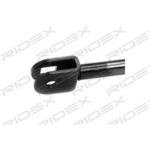 Tailgate Strut - RIDEX 219G0490