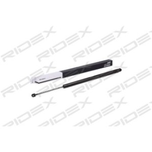 Tailgate Strut - RIDEX 219G0490