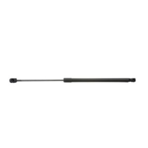Tailgate Strut - RIDEX 219G0504