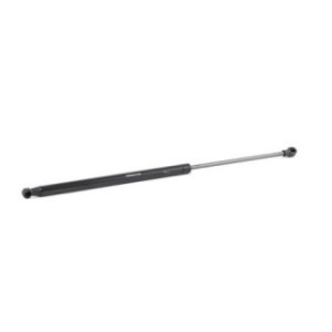 Tailgate Strut - RIDEX 219G0516