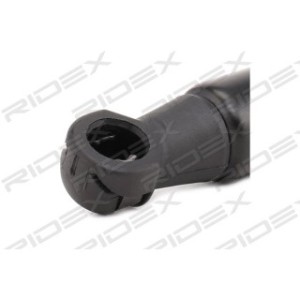 Tailgate Strut - RIDEX 219G0516