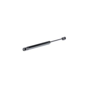 Tailgate Strut - RIDEX 219G0597