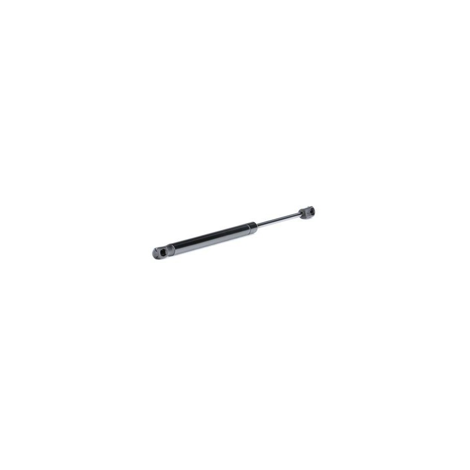 Tailgate Strut - RIDEX 219G0597