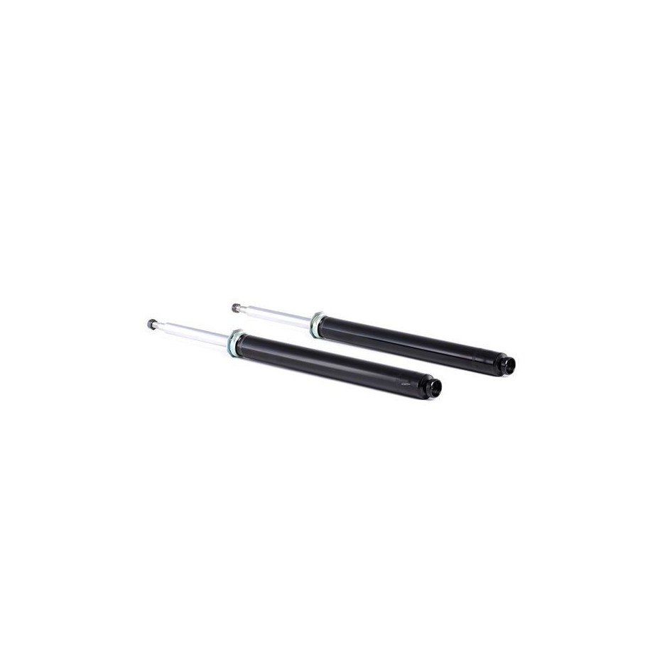 Shock Absorber - RIDEX 854S1672