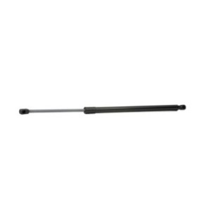 Tailgate Strut - RIDEX 219G0643