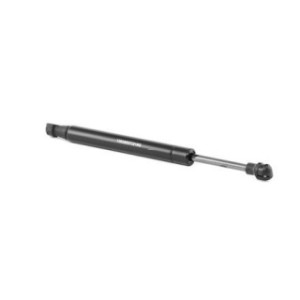 Tailgate Strut - RIDEX 219G0645
