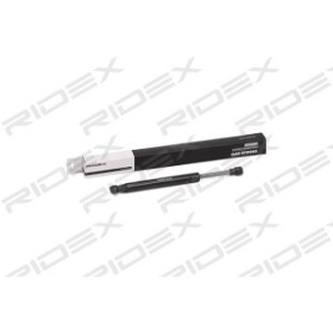 Tailgate Strut - RIDEX 219G0645