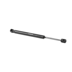 Tailgate Strut - RIDEX 219G0659