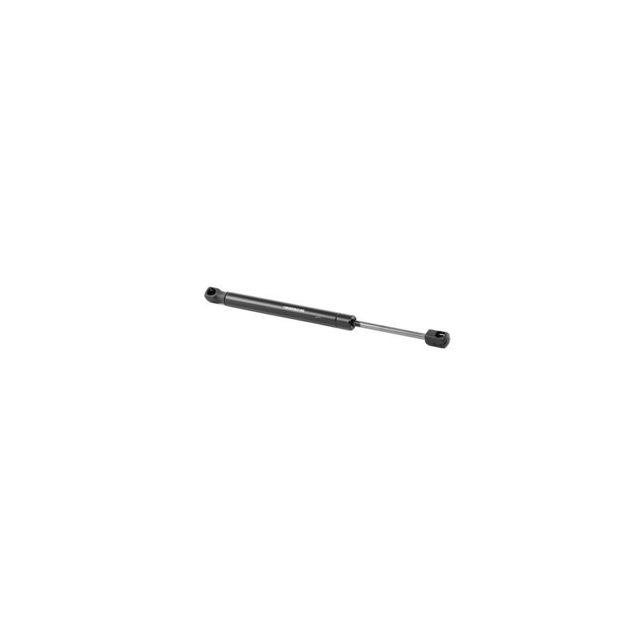 Tailgate Strut - RIDEX 219G0659