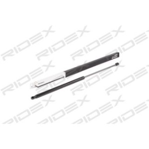Tailgate Strut - RIDEX 219G0669