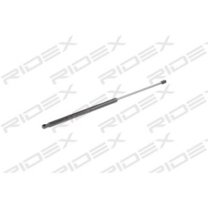 Tailgate Strut - RIDEX 219G0669