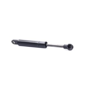 Tailgate Strut - RIDEX 219G0670