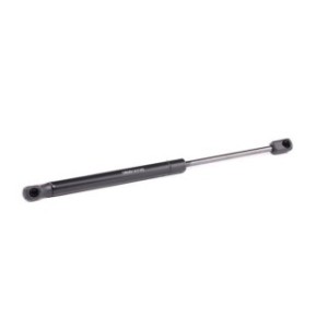 Tailgate Strut - RIDEX 219G0671