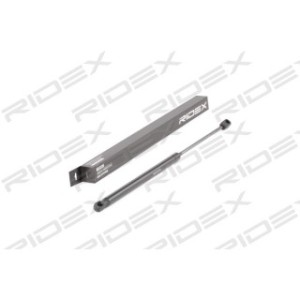 Tailgate Strut - RIDEX 219G0675