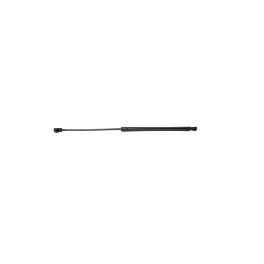 Tailgate Strut - RIDEX 219G0683