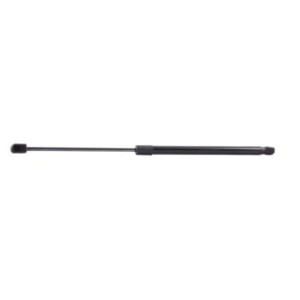 Tailgate Strut - RIDEX 219G0685