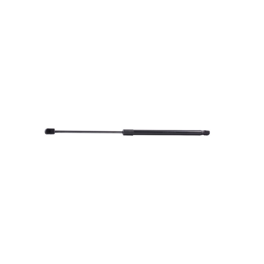 Tailgate Strut - RIDEX 219G0685