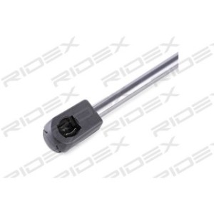 Tailgate Strut - RIDEX 219G0685