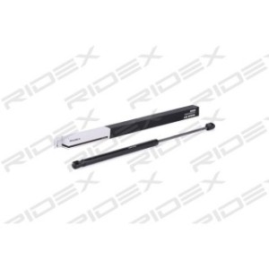 Tailgate Strut - RIDEX 219G0685