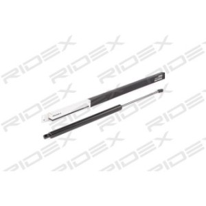 Tailgate Strut - RIDEX 219G0691