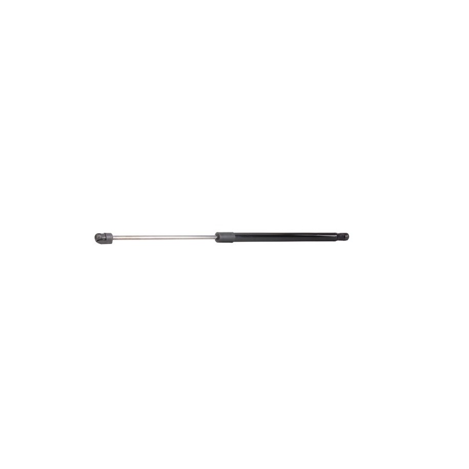 Tailgate Strut - RIDEX 219G0695