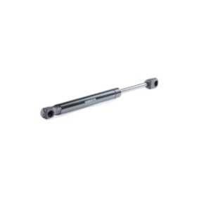 Tailgate Strut - RIDEX 219G0696