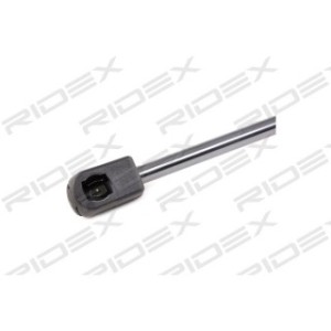 Tailgate Strut - RIDEX 219G0696