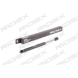 Tailgate Strut - RIDEX 219G0696