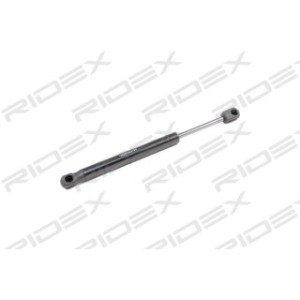 Tailgate Strut - RIDEX 219G0696
