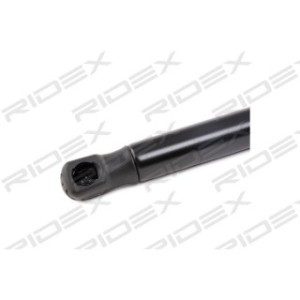 Tailgate Strut - RIDEX 219G0696