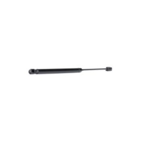 Tailgate Strut - RIDEX 219G0702
