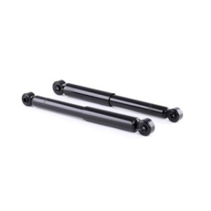 Shock Absorber - RIDEX 854S0302