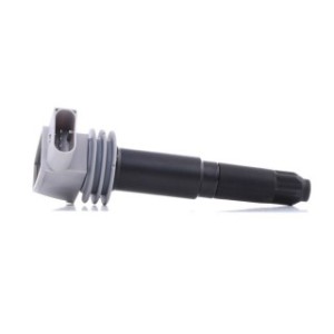 Ignition Coil - RIDEX 689C0061