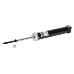 Shock Absorber MASTER SPORT 317100-PCS-MS for CITROEN &more..