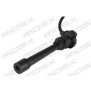 Ignition Cable Kit - RIDEX 685I0134