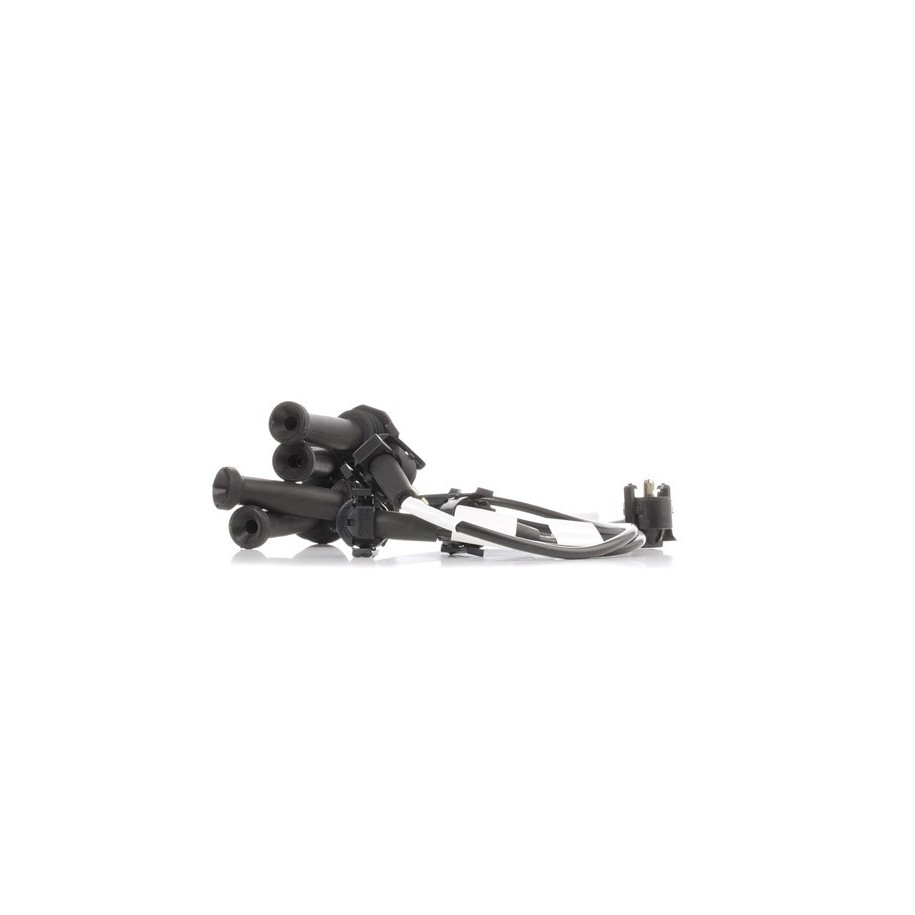Ignition Cable Kit - RIDEX 685I0065