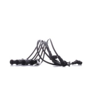 Ignition Cable Kit - RIDEX 685I0087