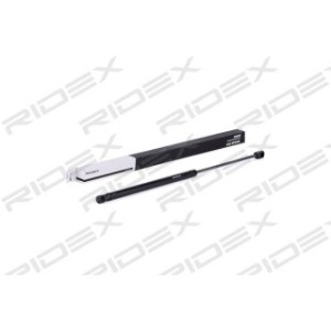 Tailgate Strut - RIDEX 219G0317