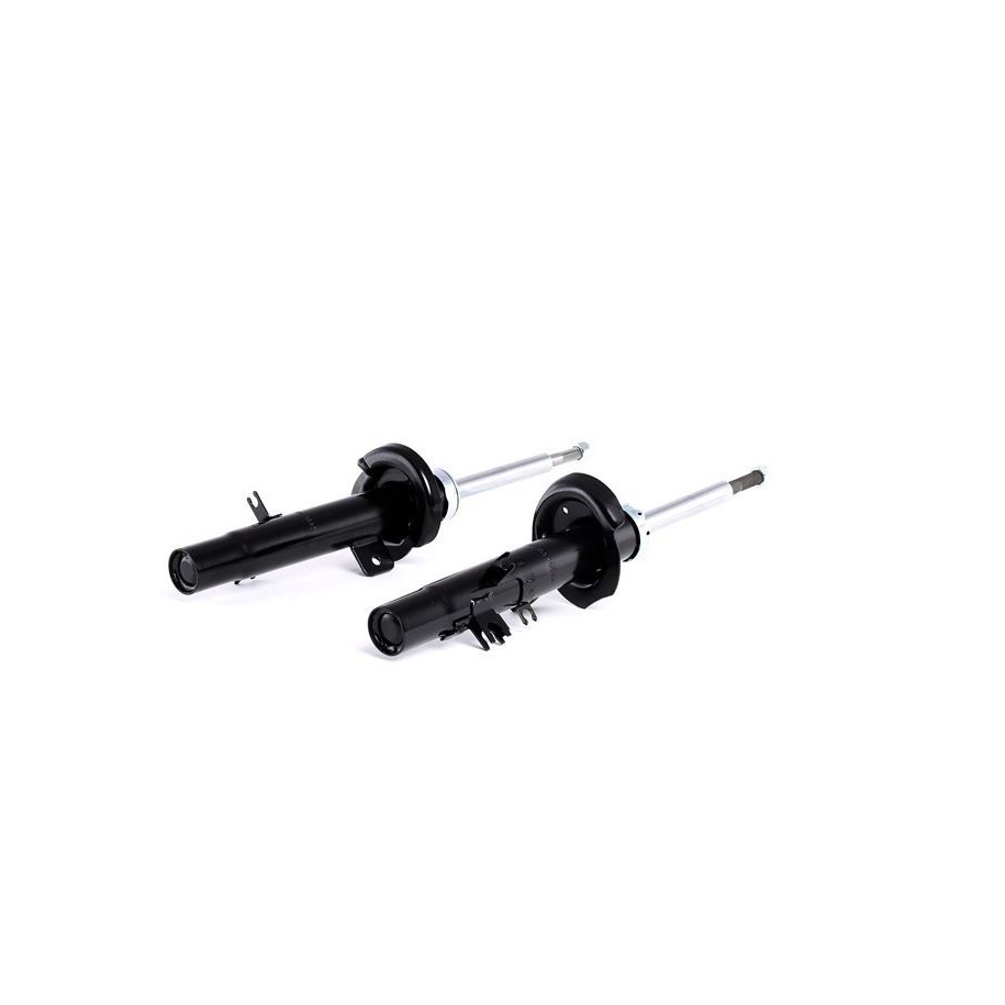 Shock Absorber - RIDEX 854S0805