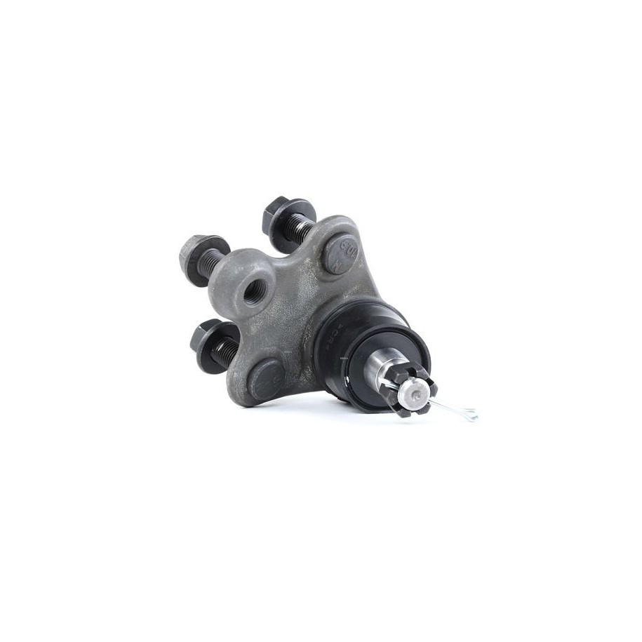 Ball Joint - RIDEX 2462S0213