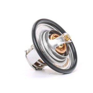 Coolant Thermostat - RIDEX 316T0044