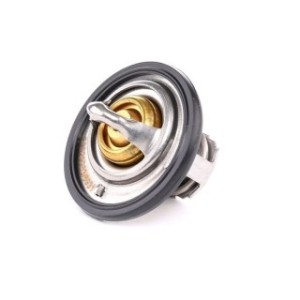 Coolant Thermostat - RIDEX 316T0051