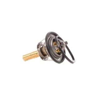 Coolant Thermostat - RIDEX 316T0066