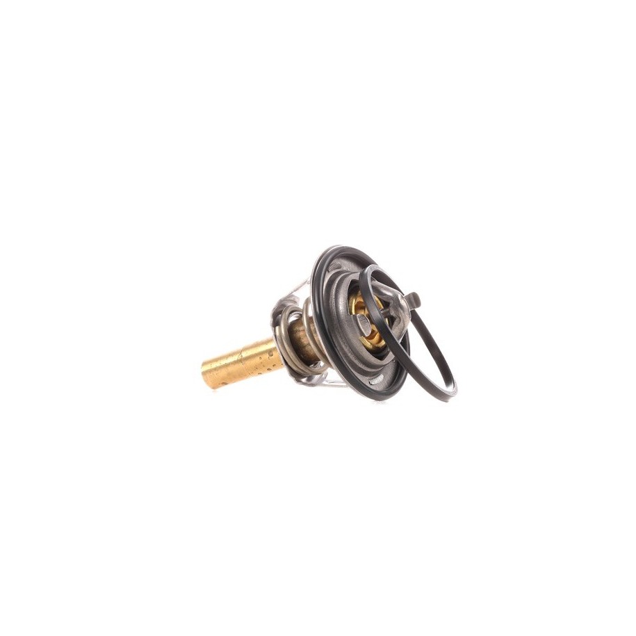 Coolant Thermostat - RIDEX 316T0066